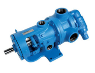 K4224A SD CGCG 038 2"T SKBK z