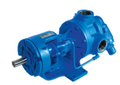 L4124A STD|CG|CG|BUNA|2"NPT|HTRV|SKBK LN
