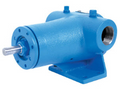 GG4195 SD VITON CG PH