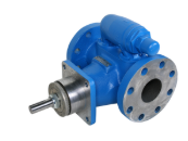 AK493 SD VITON CG
