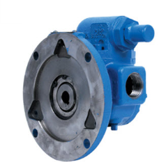GG-475 7/8" BORE R.V BUNA